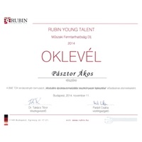 rubin young talent special award
